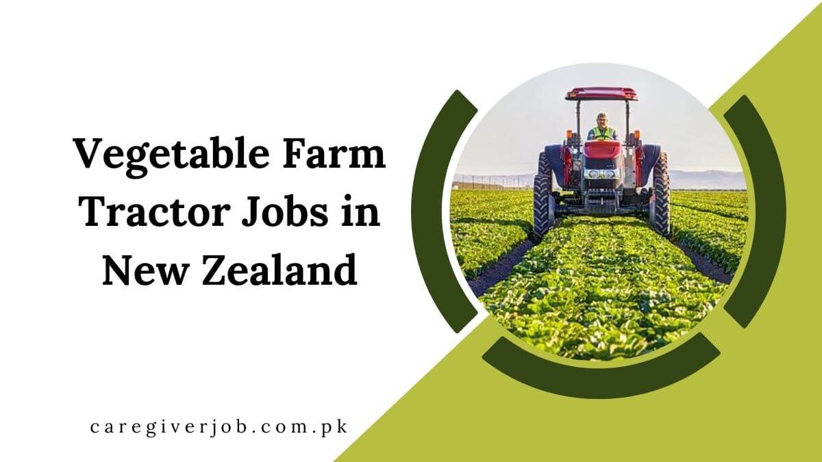 Vegetable Farm Tractor Jobs in New Zealand