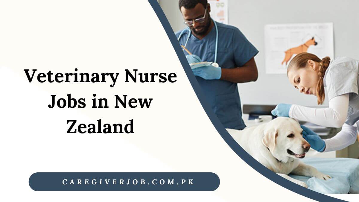 Veterinary Nurse Jobs in New Zealand