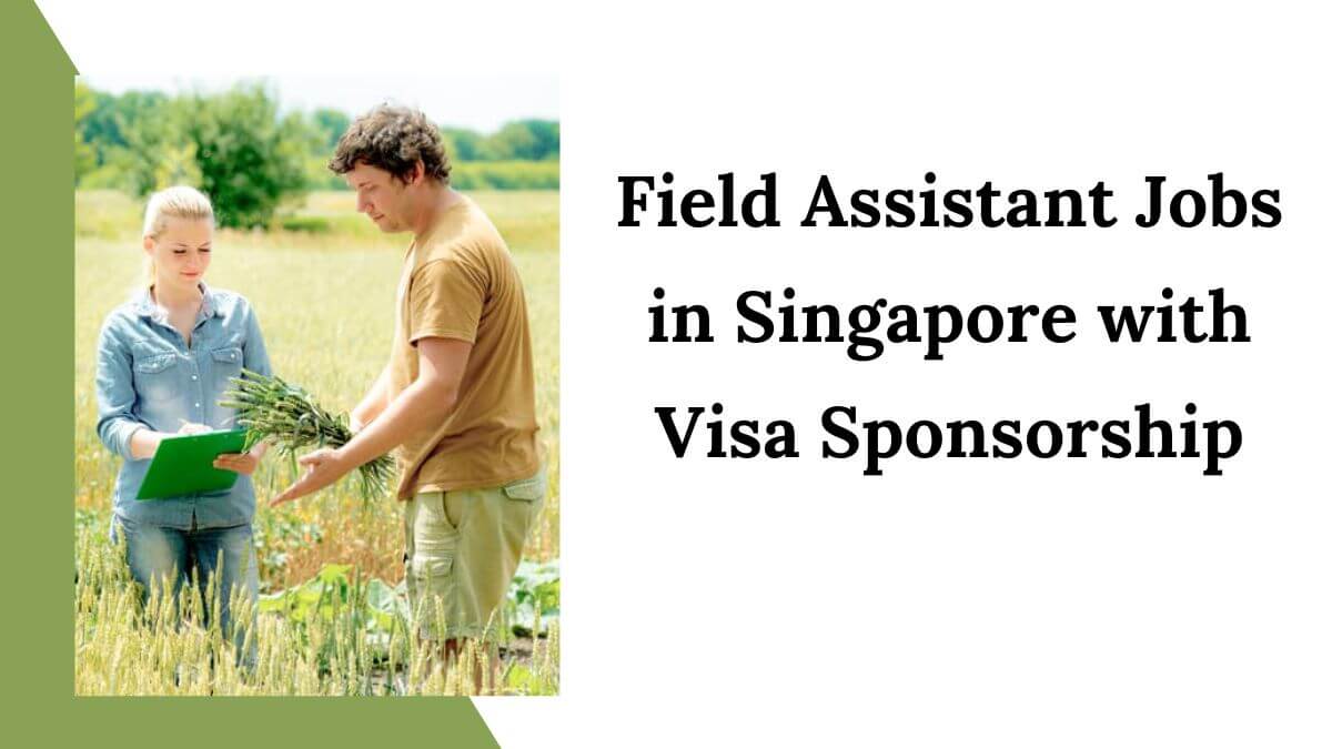 Field Assistant Jobs in Singapore with Visa Sponsorship