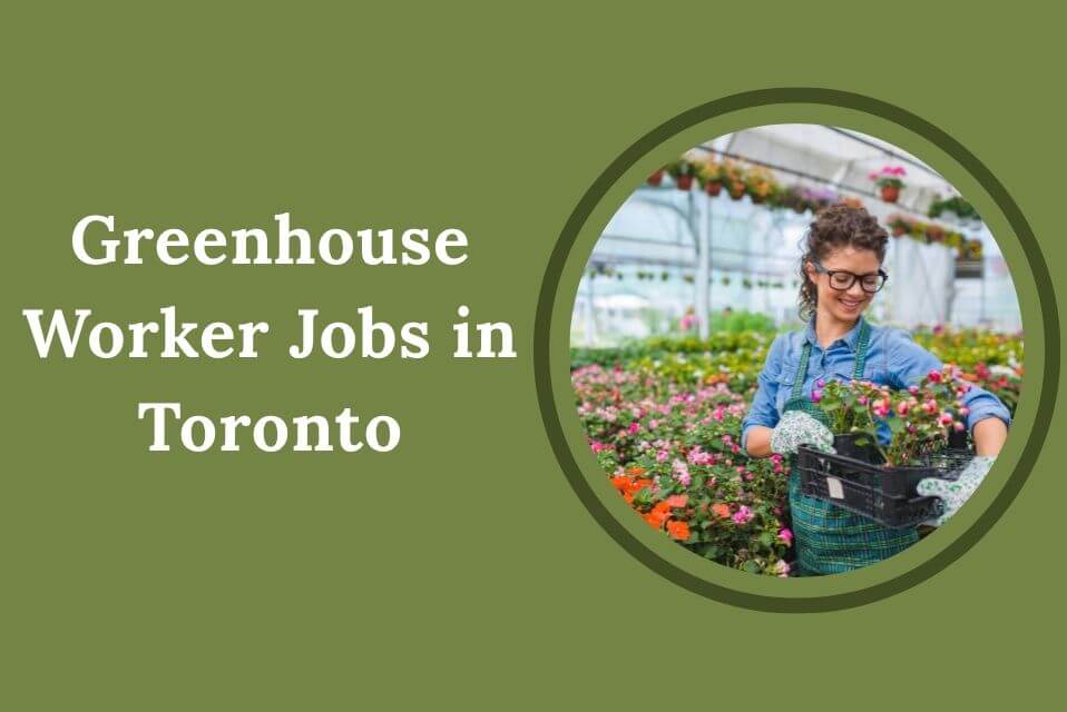 Greenhouse Worker Jobs in Toronto